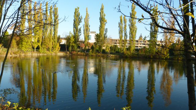 Eggenburg - městský rybník