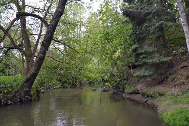 12 05 26 15.29.23 Občas řeka Ploučnice vytvářela krásná romantická zákoutí
